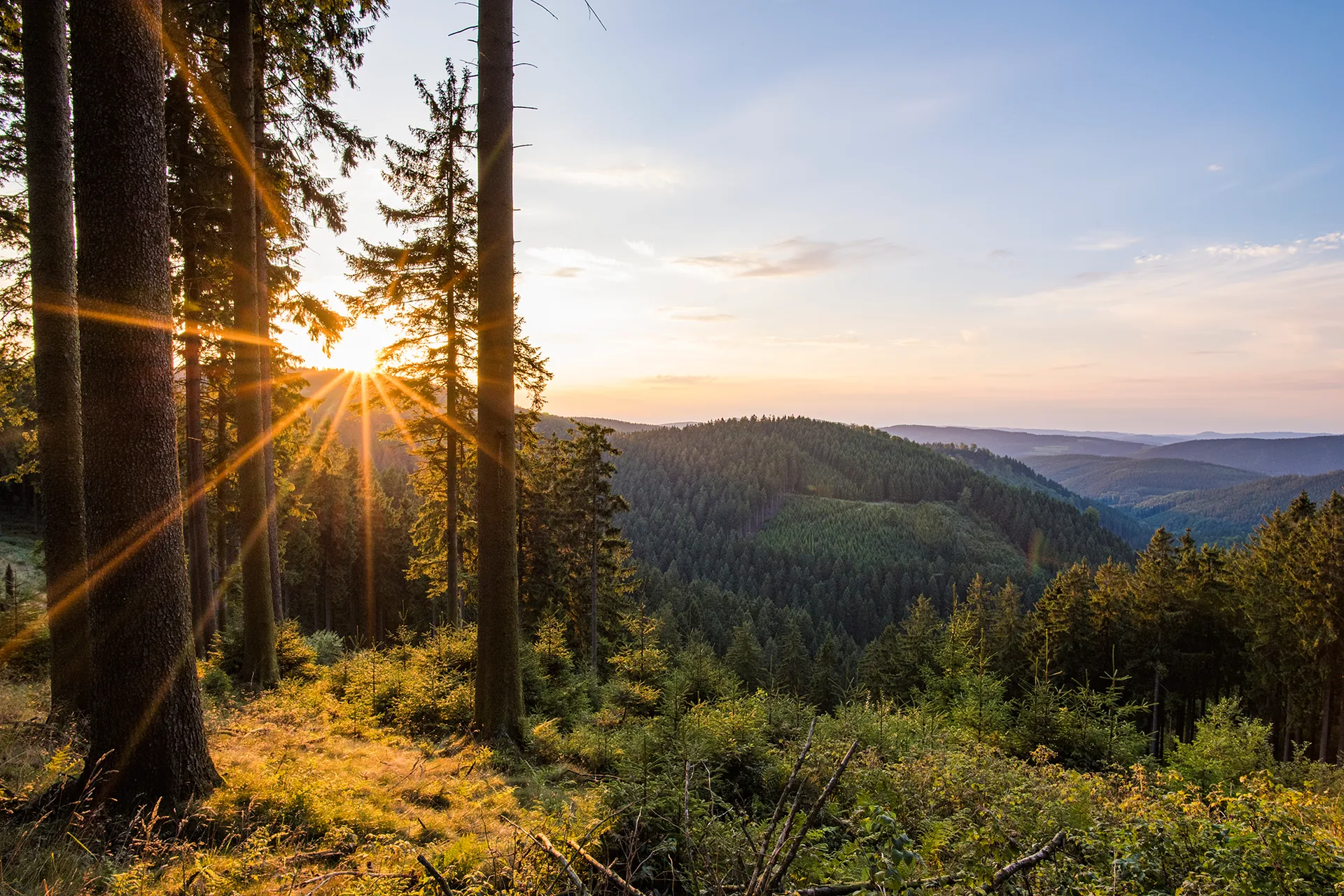 Sonnenaufgang über bewaldeten Hügeln im Sauerland, das Licht fällt zwischen den Bäumen hindurch auf eine Wiese